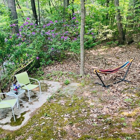 Modern Cabin With Hot Tub Grill Lake Beach Wineries Hiking Fishing And Hershey Park Family And Pet Friendly Superhosts On Ab&B Mount Gretna Dış mekan fotoğraf
